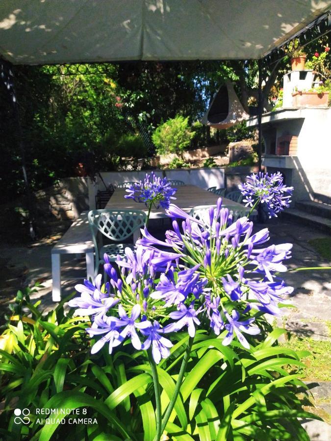 Pergolato Suite Sanremo Eksteriør bilde